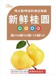 梨海报