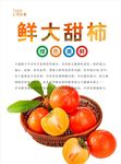 柿子海报