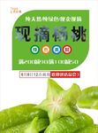 杨桃海报