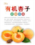 杏子海报