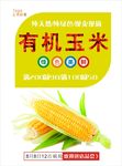 玉米海报