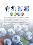 蓝莓海报