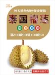 榴莲海报