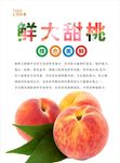 桃子海报