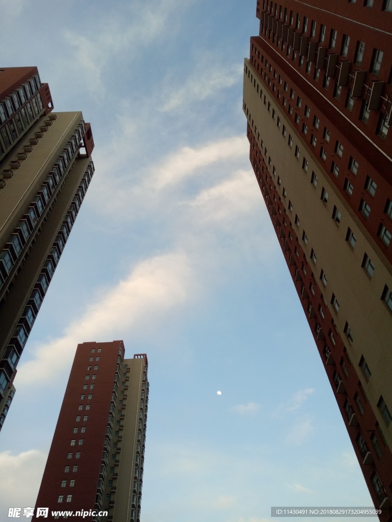 高楼 天空