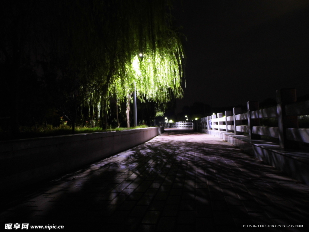 公园夜景