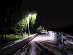 公园夜景
