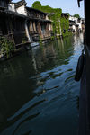 乌镇 碧水 绿油油