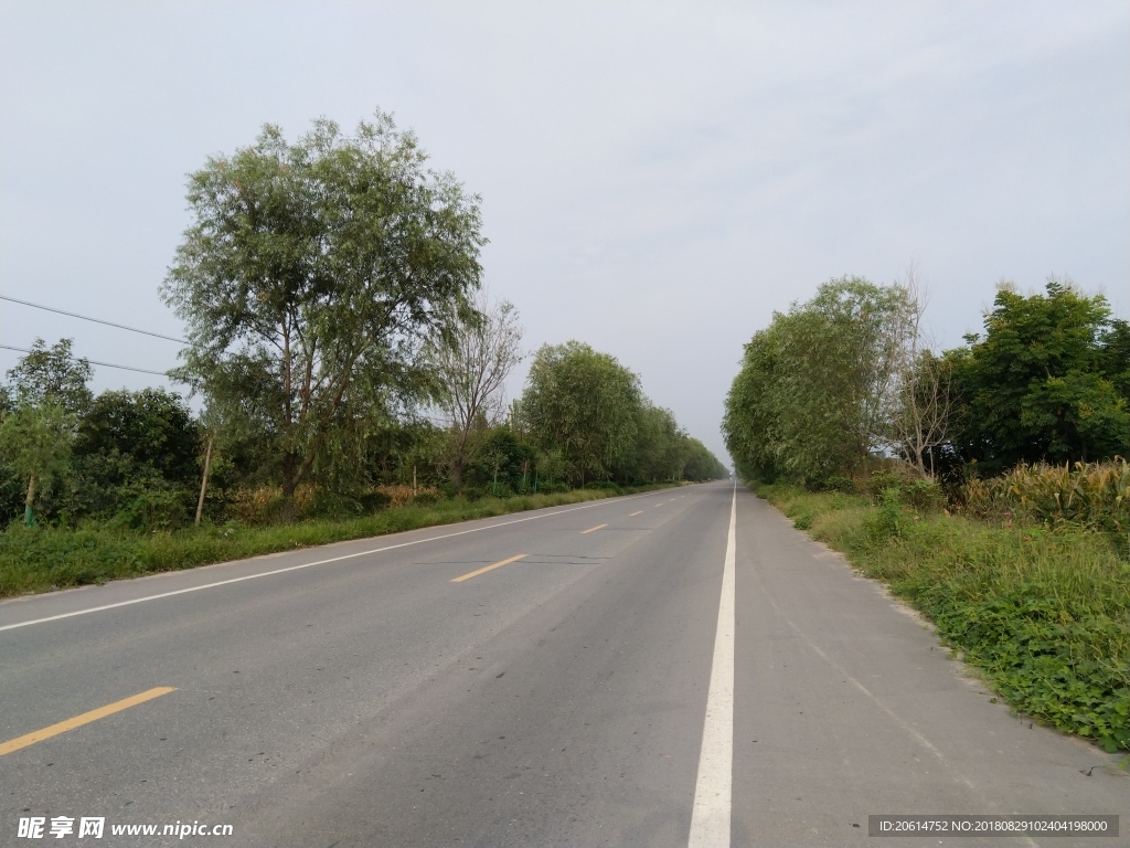 乡村道路美景