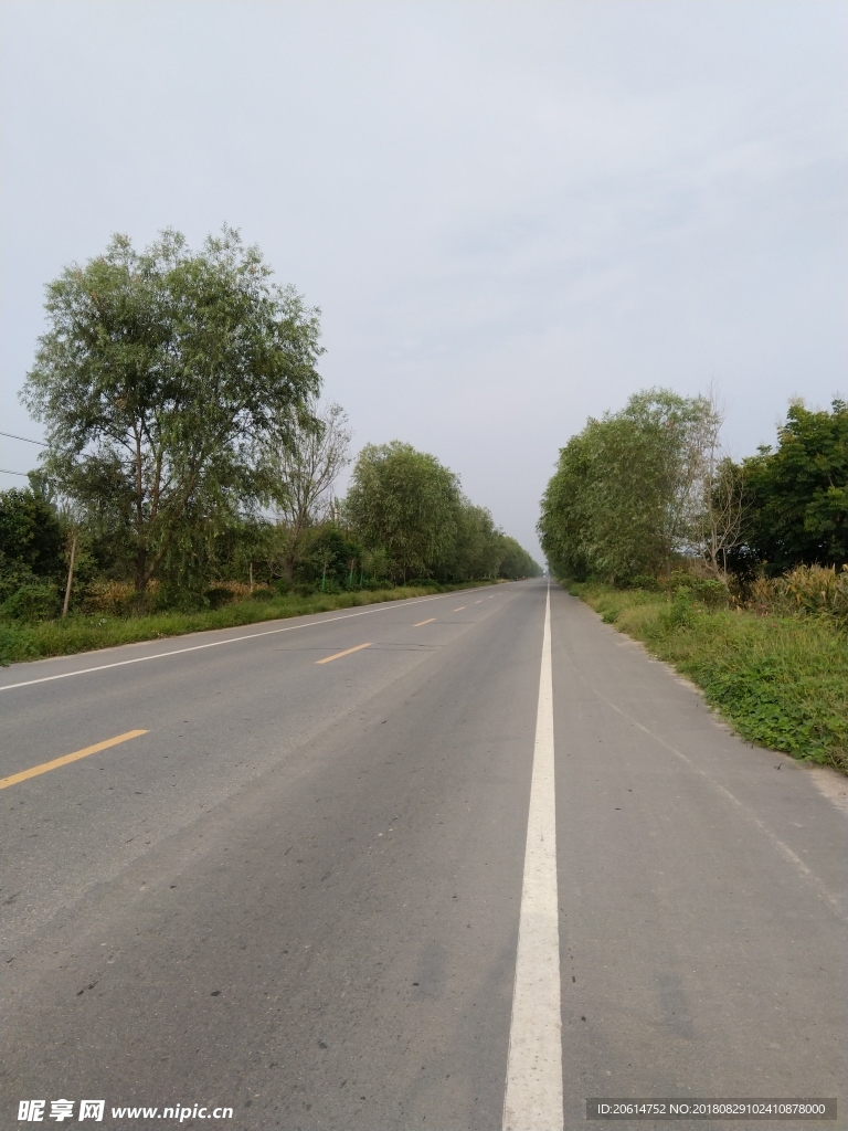 乡村道路风景