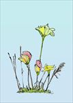 手绘画草