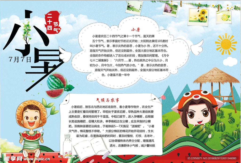 暑假小报