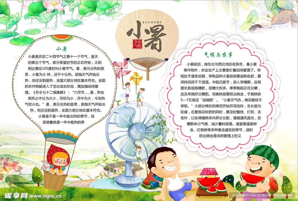暑假小报