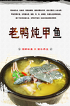 老鸭炖甲鱼