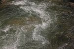 泉水 小溪水 河水 水花 浪花