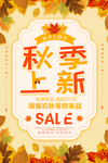 秋季上新海报