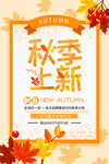 秋季上新海报