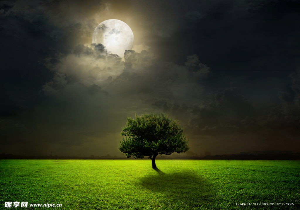 夜晚