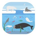 海底世界