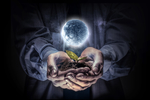 手捧树苗孕育星球图片