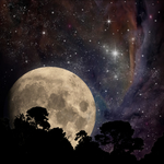 月亮和树木的星空图片