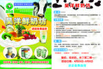 鲜奶坊 昊洋鲜奶