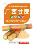甘蔗海报