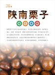 栗子海报