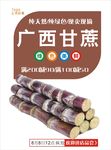 甘蔗海报