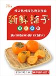 柿子海报