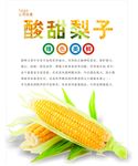 玉米海报