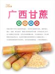 甘蔗海报