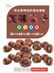 栗子海报