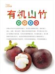 山竹海报