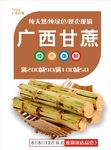 甘蔗海报