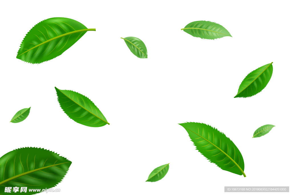 茶叶背景图