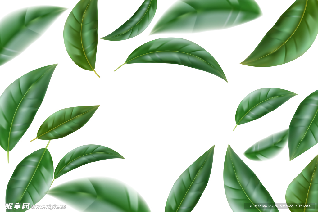 茶叶背景图