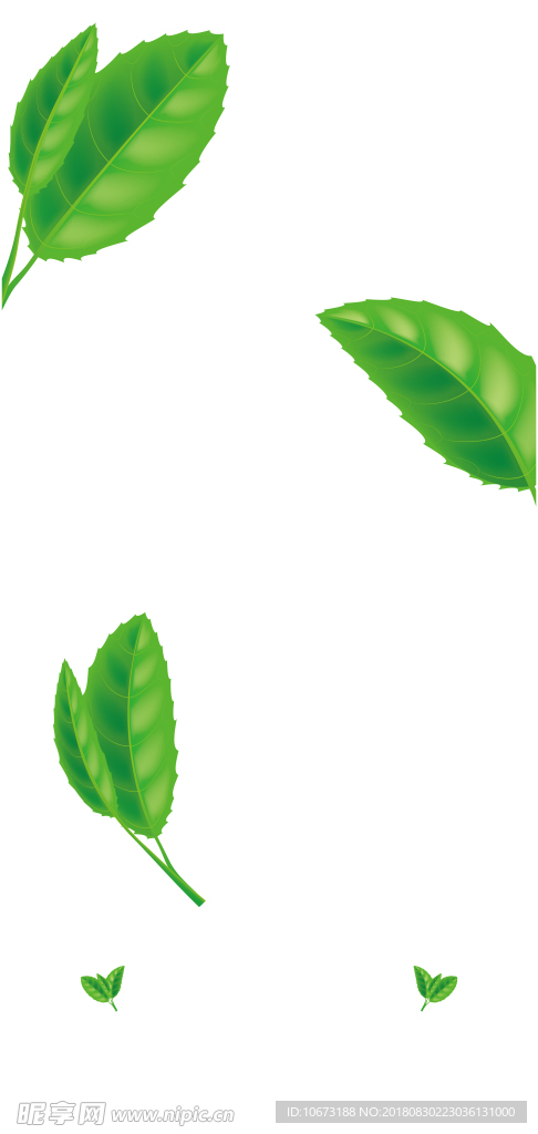 茶叶背景图