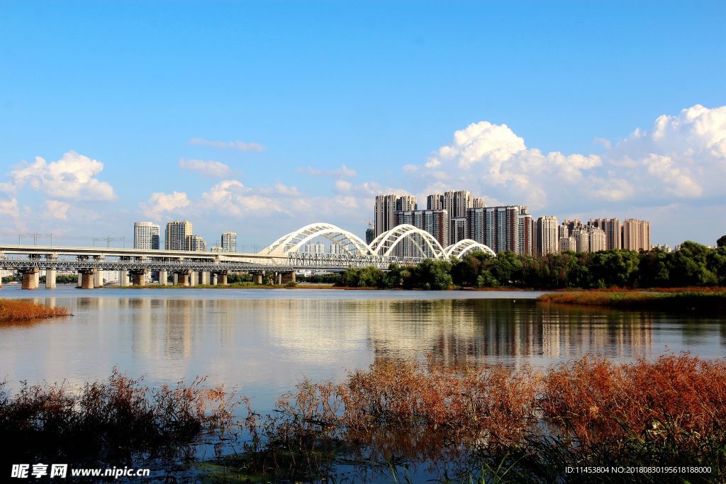 松花江风景