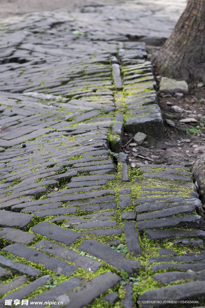 青石砖 路 苔藓 绿苔路