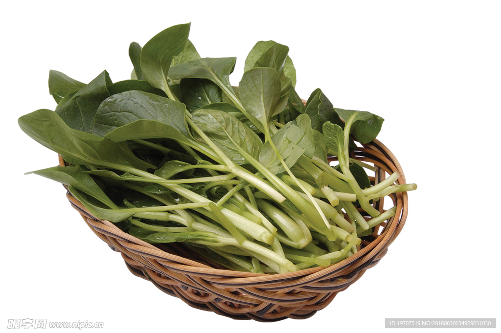 油菜