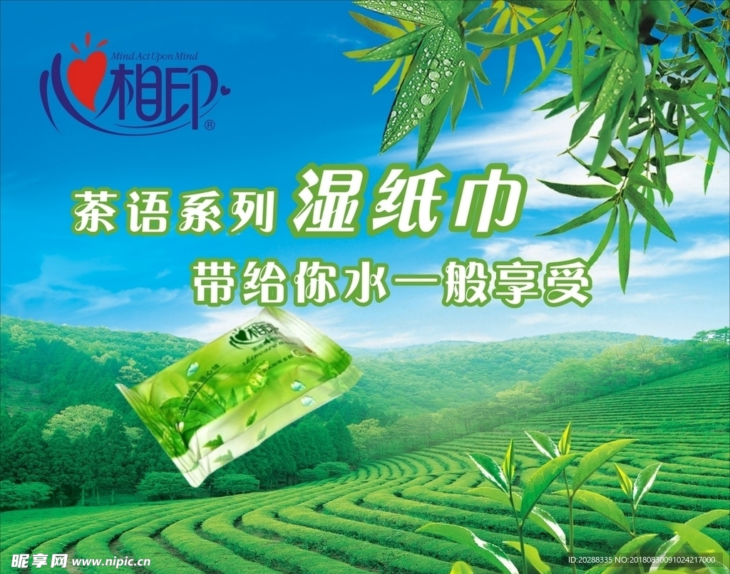 纯点纸巾 LOGO 纸巾 茉莉