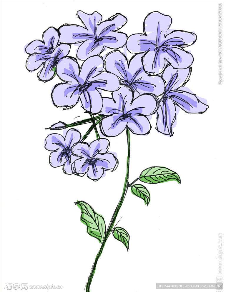 手绘花卉