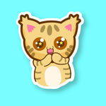 可爱猫咪