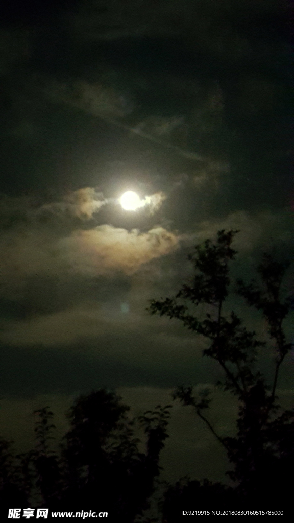 夜色