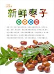 枣海报