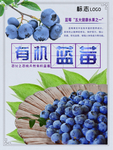 蓝莓海报