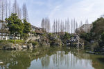 沈园 人工湖
