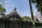 沈园 古建