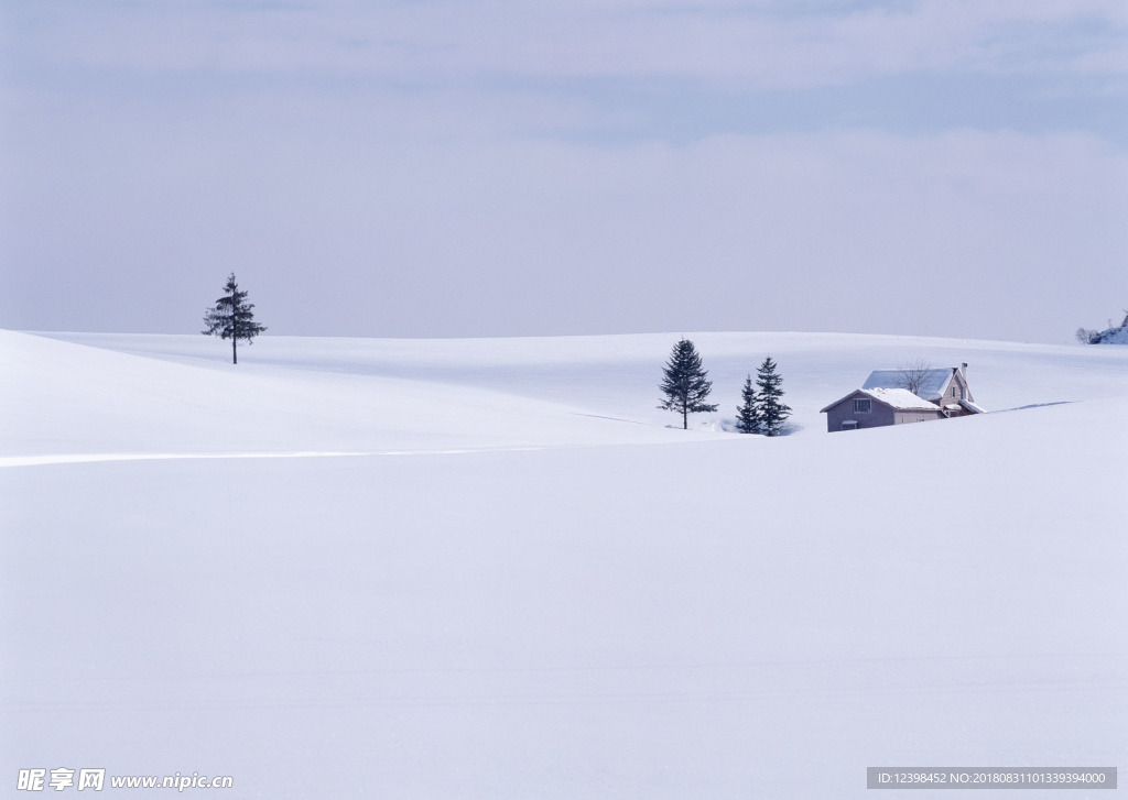 雪原
